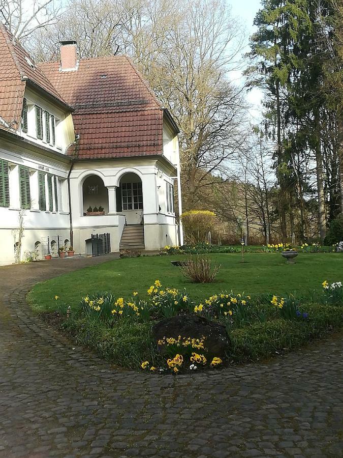 Gutshaus Wilhelmsruh Villa Mohnesee Bagian luar foto