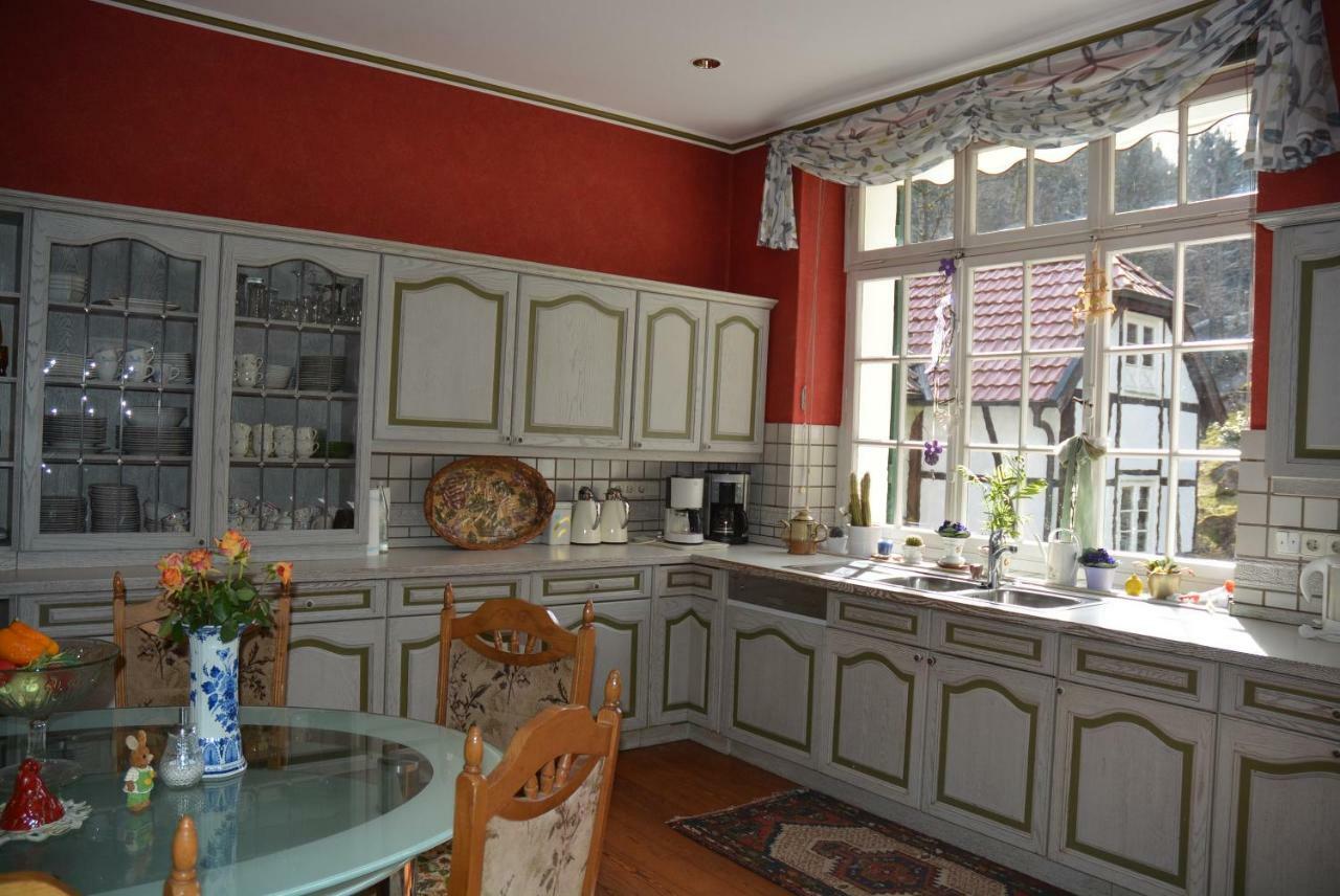 Gutshaus Wilhelmsruh Villa Mohnesee Bagian luar foto