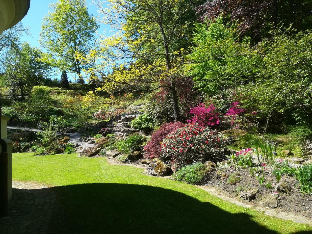Gutshaus Wilhelmsruh Villa Mohnesee Bagian luar foto